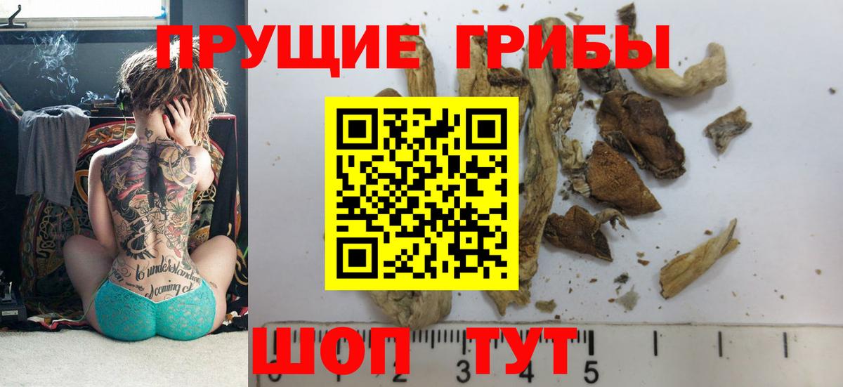 Галлюциногенные грибы мицелий Канаш