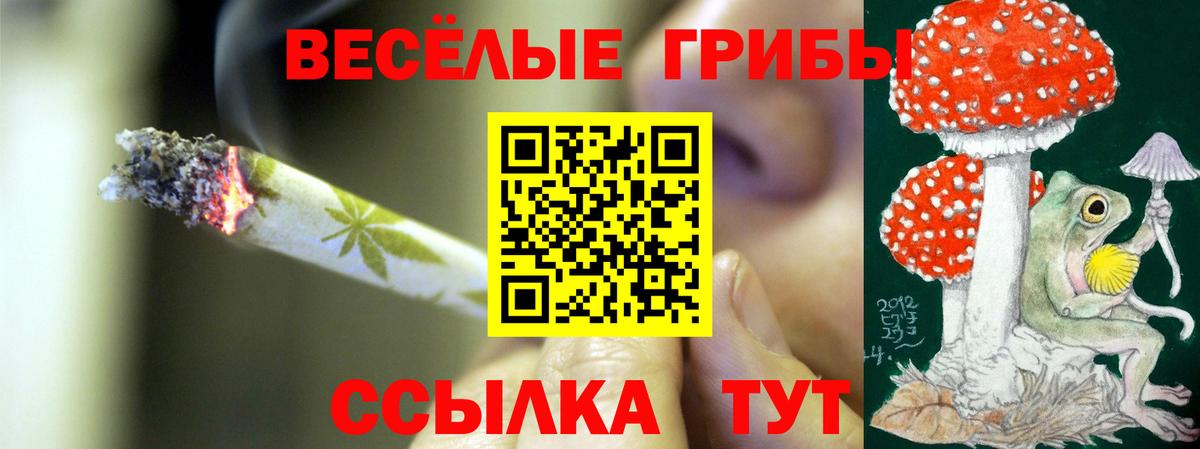 Псилоцибиновые грибы Psilocybine cubensis  Вход с VPN  Канаш 